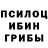 Галлюциногенные грибы мицелий Boris Fisherov