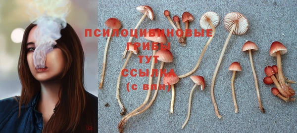 синтетический гашиш Абаза