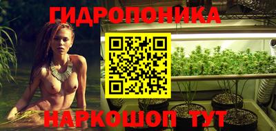 jwh Гай