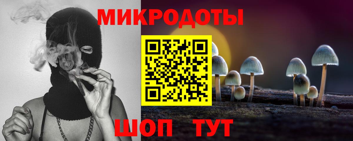 Галлюциногенные грибы Cubensis Барнаул
